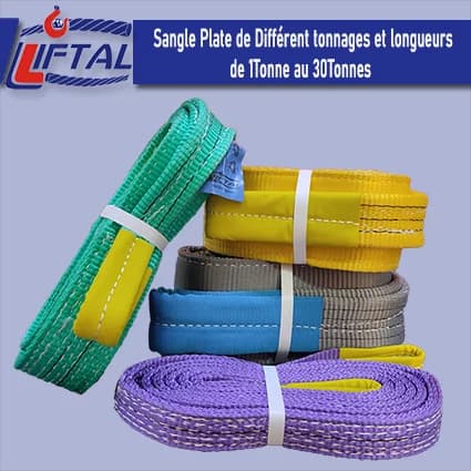 Sangle Plate