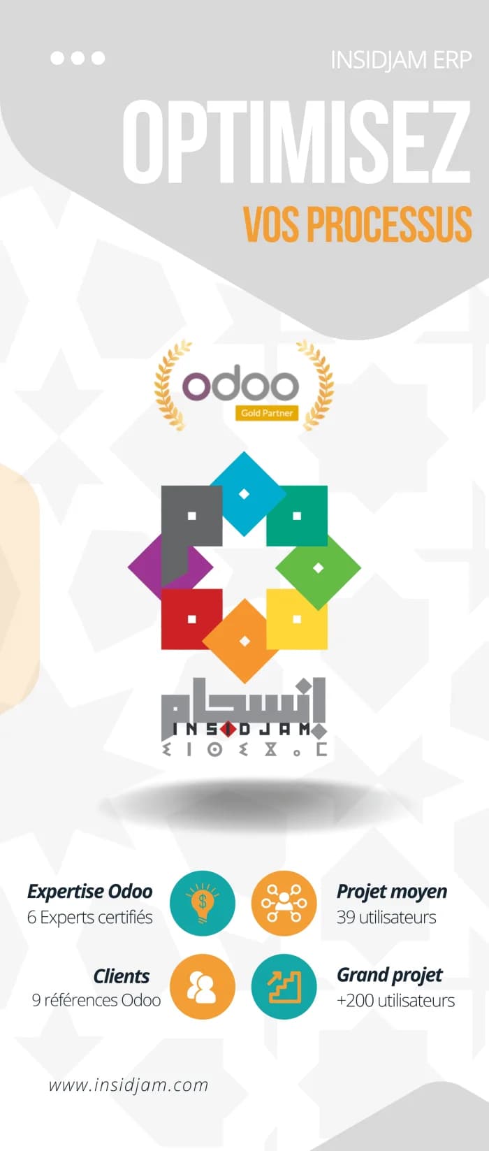Intégration ERP Odoo - Insidjam Gold Partner